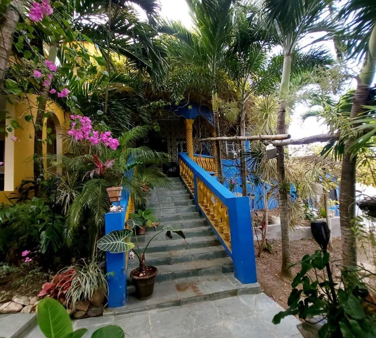 Apartmán Irie Royal Boscobel Jamajka